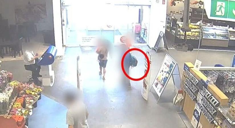 Egy gyanútlan kisfiút használtak fel a lopásra az élettársak - fotó