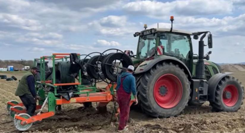 Öntözni szinte már muszáj – de hogyan csináld jól?