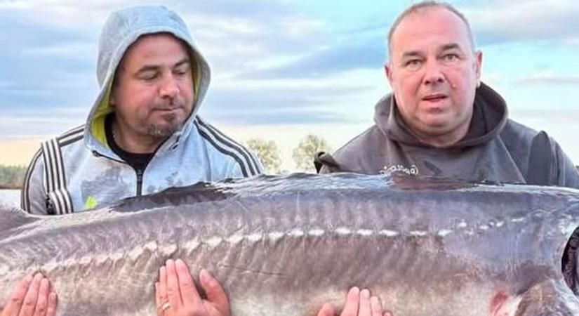 Akkora őslényeket fogtak Tokajnál, hogy már készíti a helyet a Jurassic Park – fotókkal