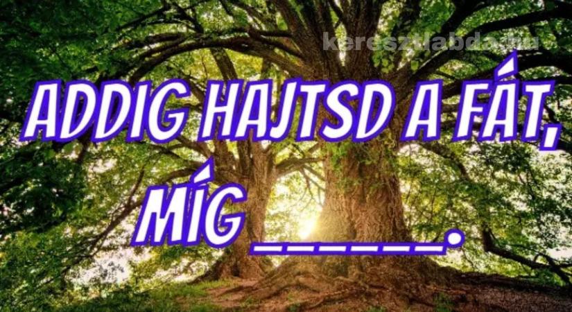 Napi közmondás feladat: A népi nevelési bölcsesség, amit minden szülőnek tudnia kellene