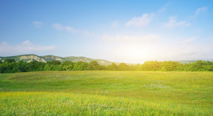 Tibor napja megjósolja: ezt kell ma látnunk, hogy jó évünk legyen