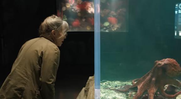 Megható előzetest kapott az ember-polip fura barátságáról szóló Netflix-adaptáció