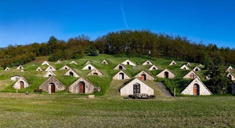 Van, de nehezen járható az út a borászatok számára a cégszerű értékelés felé