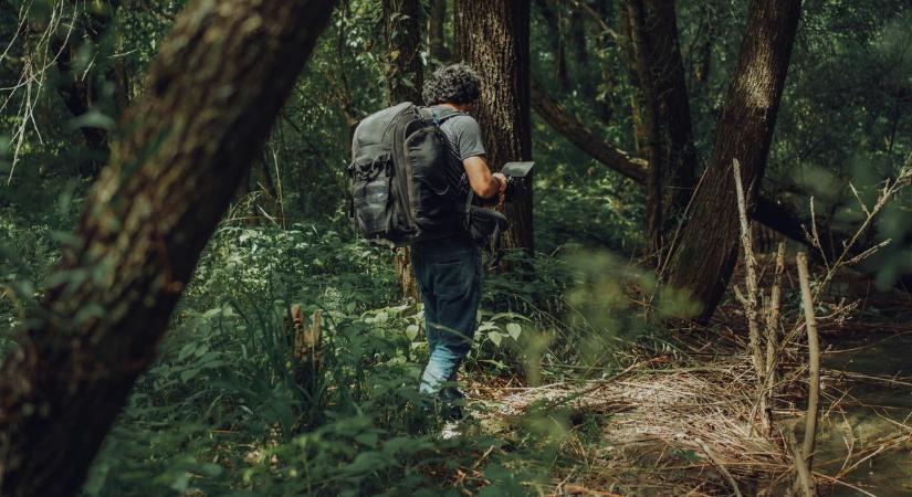 Kirándulóknak figyelmeztetés: ezért jöhet brutális bírság a Balatonnál