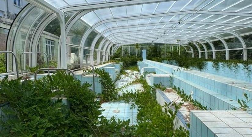 Benőtte a gaz a medencét, de tiszta ágyak várják a vendégeket a balatoni szellemhotelben