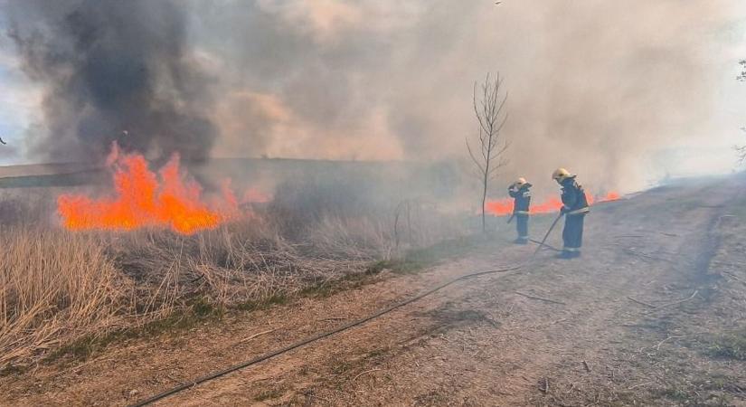 Hatalmas nádtűz Tamásiban – hét hektáron pusztítottak a lángok