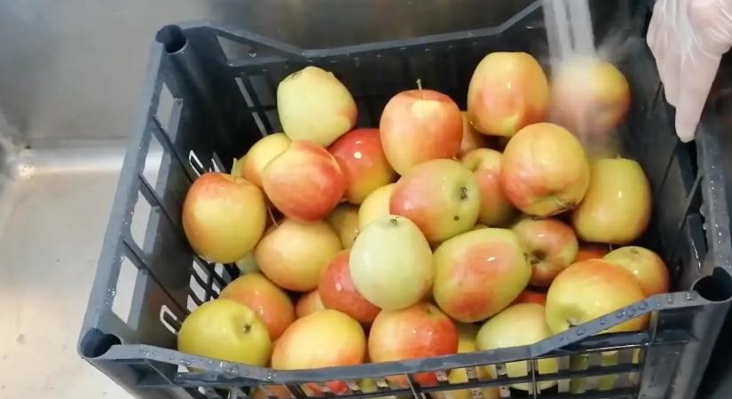 Így kell megmosni jól a bolti almákat! – A sima csapvíz nem elég