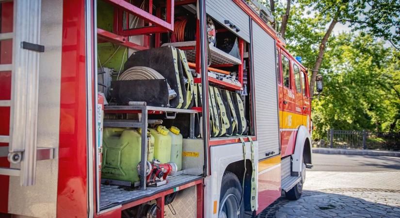 Másfél hektáron lángolt a száraznövényzet Drágszélen