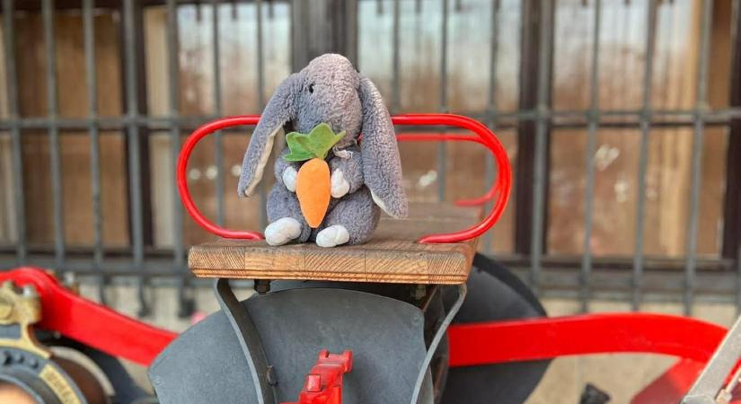 „Szikrafül százados szolgálatban” – egy elhagyott plüssnyuszit fogadtak be a tűzoltók, már bevetésen is járt