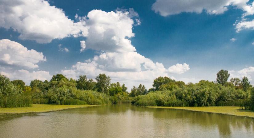 3 Tisza-program, ami tetszeni fog