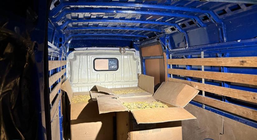 Nem véletlenül ugatta az elhagyott járművet a kutya