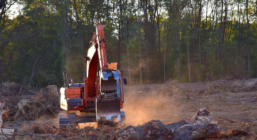 Erdészeti gépbemutatót tartanak Röjtökmuzsajon