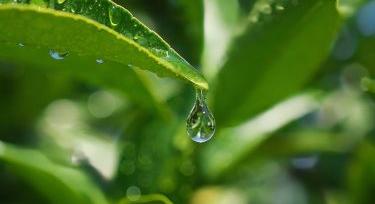 Papíron nincs nagy gond a csapadékkal, mégis szárazág van