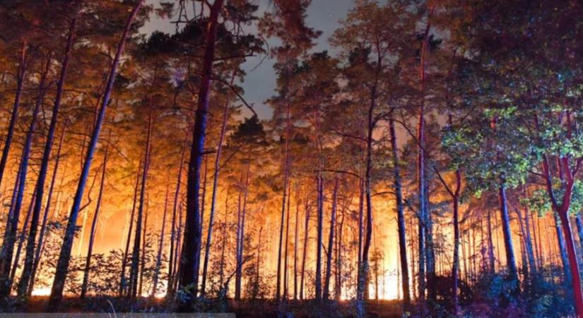 Szabadkán nincs meg a megfelelő tűzvédelmi infrastruktúra