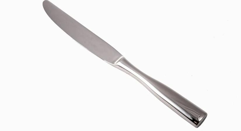 Vajazókéssel, 17 szúrással végződött a vérfürdő – így történt a vizsolyi tragédia