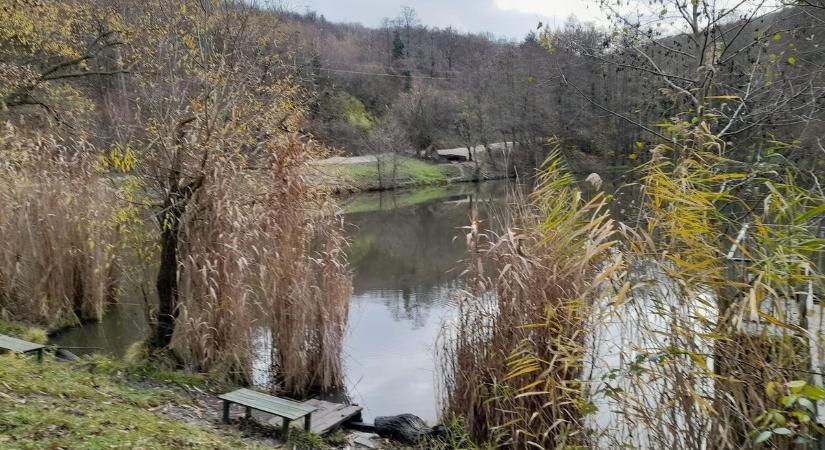 Újra járható a Szalamandra-tóhoz vezető út