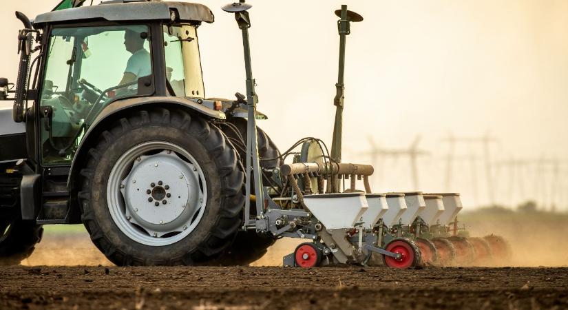 Ha most vetsz, vigyázz: áztató eső nélkül bajba kerülhet a kelés