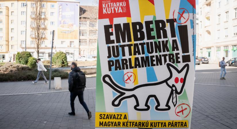 A Kutyapárt baranyai szervezet már gyűjtést indított a kampánytámogatás visszafizetésére