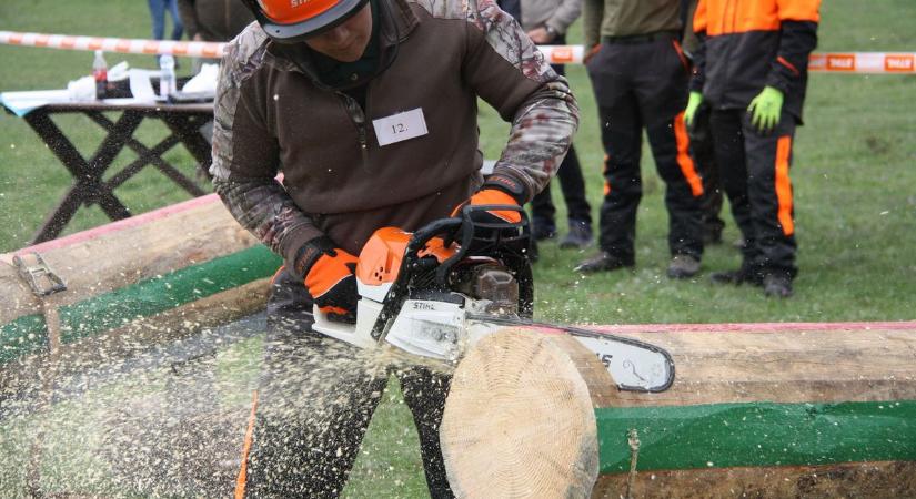Gyakorlati tudásukat mérték össze az erdésztechnikusok Göbösmajorban - fotók