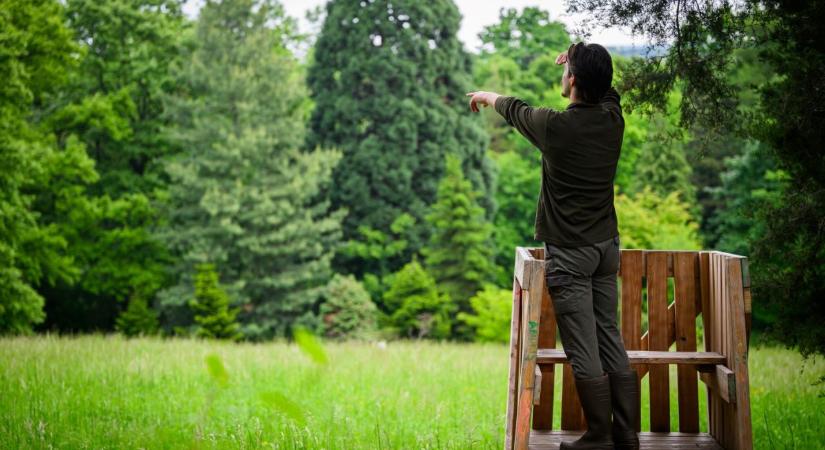 Újra túracipőt húz Sopron: érkezik a „Jó Szerencsét!” Egyetemi Túranap