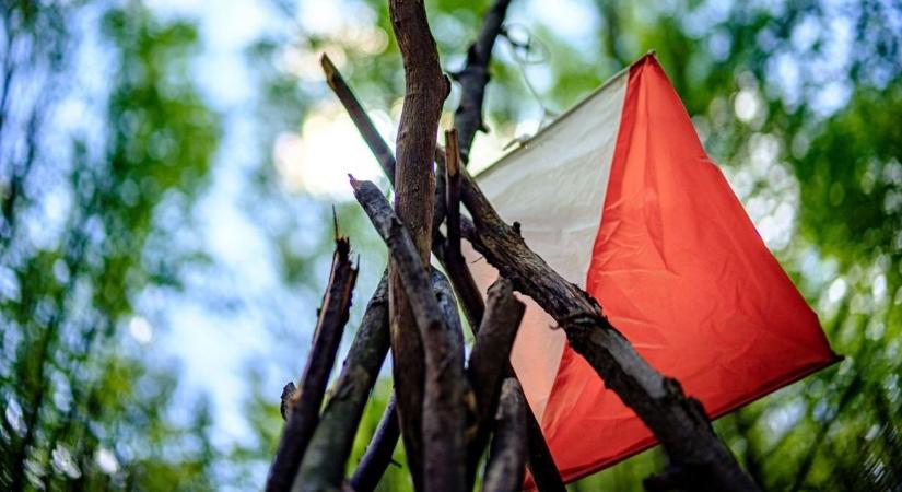 Közel 20 érmet szereztek a Vasút versenyzői