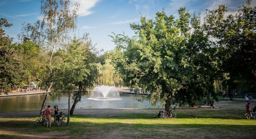 Debrecen is beszáll a globális természetmegfigyelő versenybe