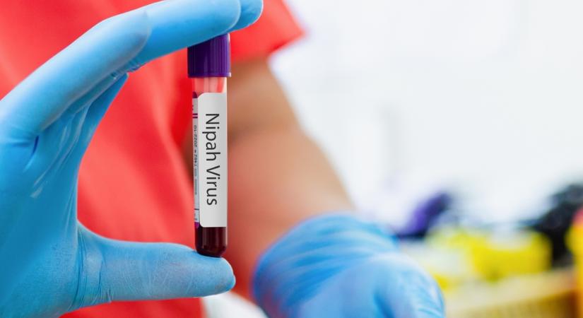 50% feletti halálozás: ez lehet a következő világjárvány