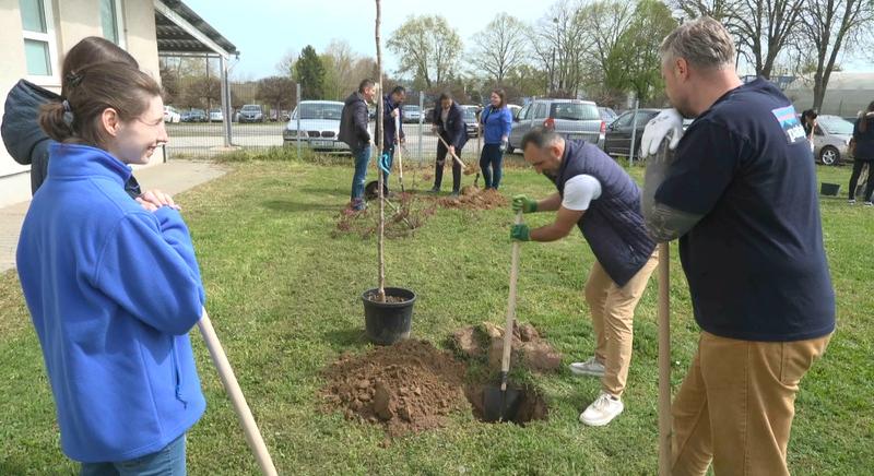 Környezetszépítő dolgozók