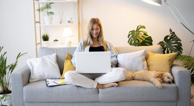 Az intelligens emberek otthonából ez az 5 dolog szinte mindig hiányzik