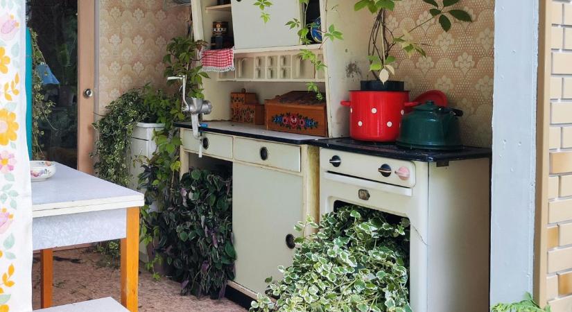 Konyhaszekrény a vásártéren: meglepetésekkel vár a bakonyi piac