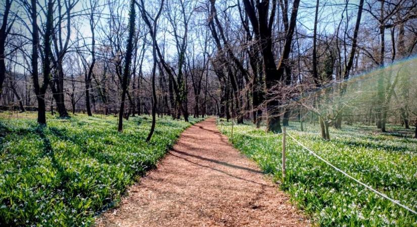 Felhők uralják a szerdát Tatabányán, de a nap is megmutatja magát