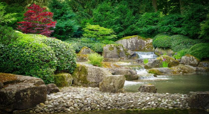 Új trend szorítja ki a magaságyásokat: szebb, karbantartása is könnyebb és modernebb megjelenést ad a kertnek