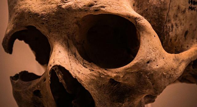 Együttműködött a neandervölgyi és a modern ember