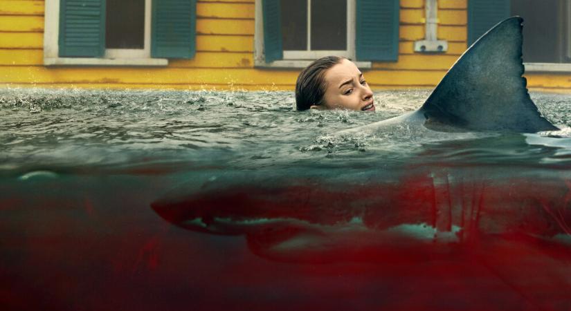 Netflix: Ezt a 10 filmet és sorozatot is látnod kell, ha bejött az új cápás túlélőthriller, a Haragos természet!