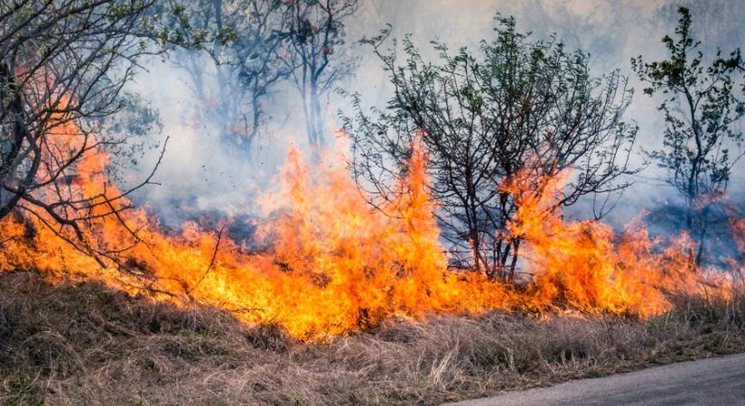 Egy kis figyelmetlenség is elég: naponta keletkeznek tüzek Zalában