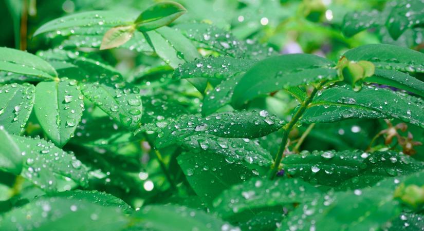 Időjárás: Valami megmozdult az égen, jönnek a záporok