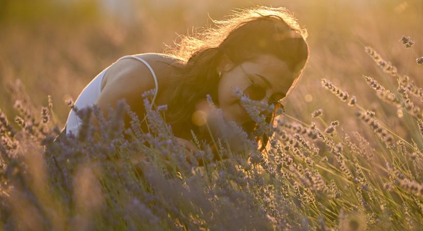 Csendes kihalás: a világból lassan eltűnnek a természetes illatok és szagok