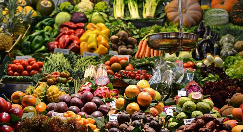 Egy sivatagi ország, ami önellátóvá vált számos alapélelmiszerből