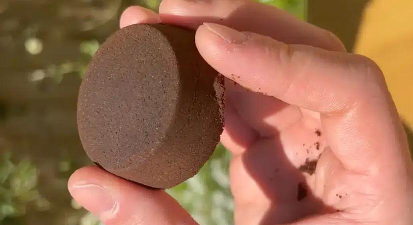 Azt hitted jót teszel vele? Így teszi tönkre a kávézacc a növényeidet