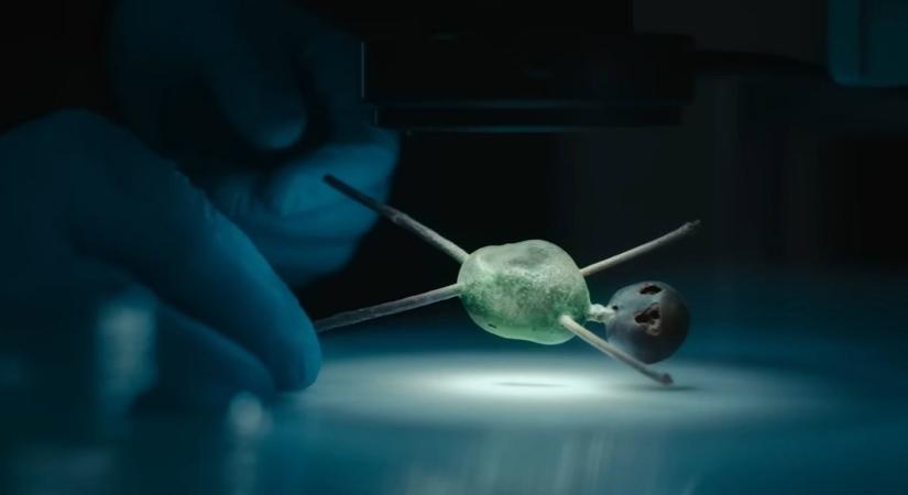 Folytatódik a Netflixen az elmúlt évek legkeményebb thrillere, nem bírnak betelni vele a nézők