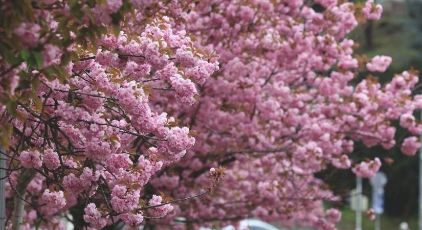 Megtréfálja az időjárás a vármegyét – nem minden alakul majd úgy, ahogy reggel gondolnánk