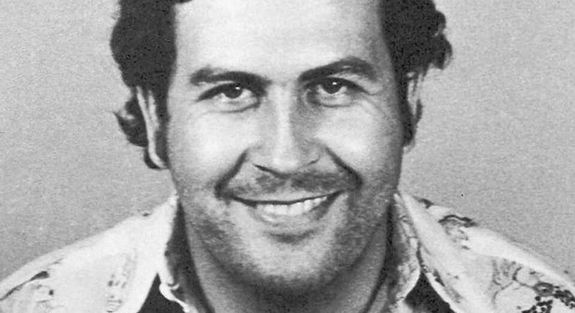 „Az öldöklés és a mészárlás soha nem elfogadható” – Kolumbia Pablo Escobar „kokainvízilovainak” kilövésére készül