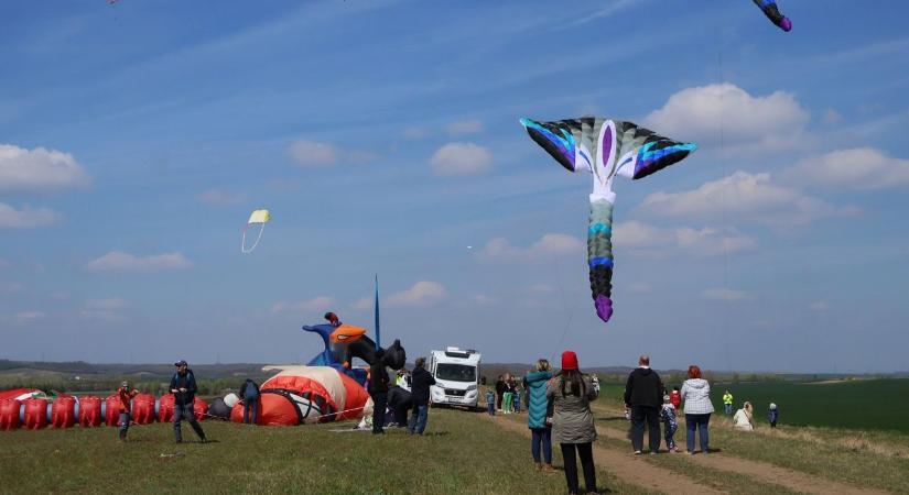 Sárkányok szállták meg az eget Dunaszentgyörgyön (fotók)