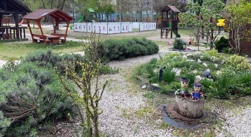 Virágos Bajáért versenyeznek – már lehet pályázni