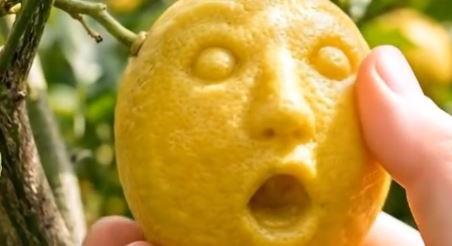 Kia akar itt savanyú arcot vágni! – A nap vidója