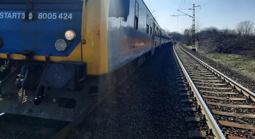 Tehervonat sodort el egy férfit Monorierdőnél