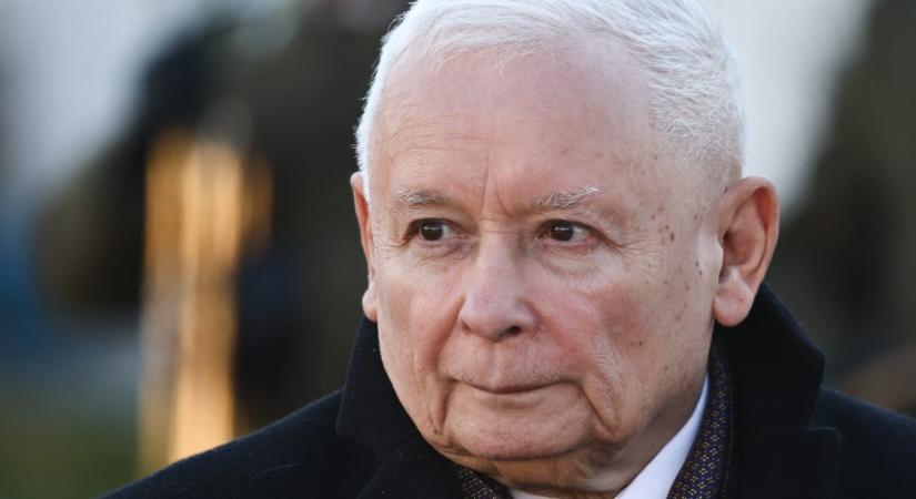 Kaczynski elhitte, hogy Magyar Péter megsütött egy kölyökkutyát