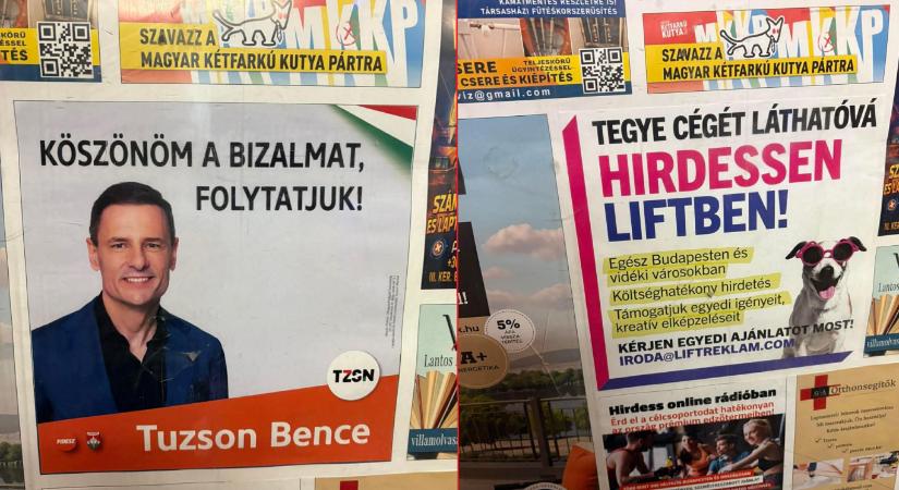 Tuzsonék annyira biztosra vették a győzelmet, hogy hétfő hajnalra megköszönték a bizalmat, és megígérték a folytatást