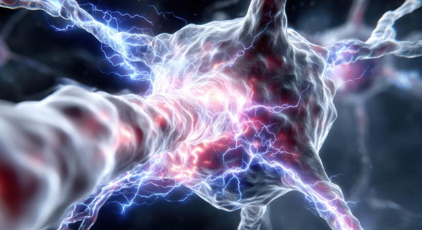 Érzékelőt ültet emberi agyba a Neuralink korábbi elnökének cége