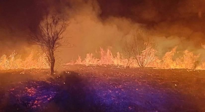 Újabb tűzesetek Kárpátalján: egy nap alatt nyolc riasztás